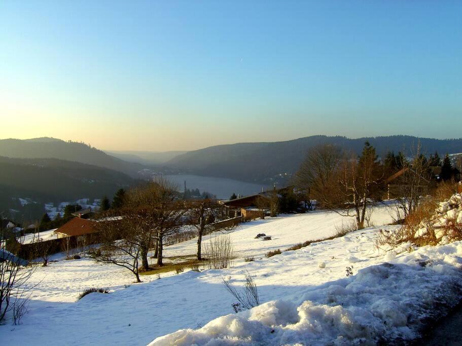 Gerardmer Centre - Studio Au Pied Du Lac Grande Terrasse 외부 사진